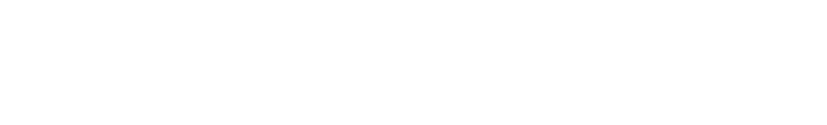 Barnes and Noble white text logo